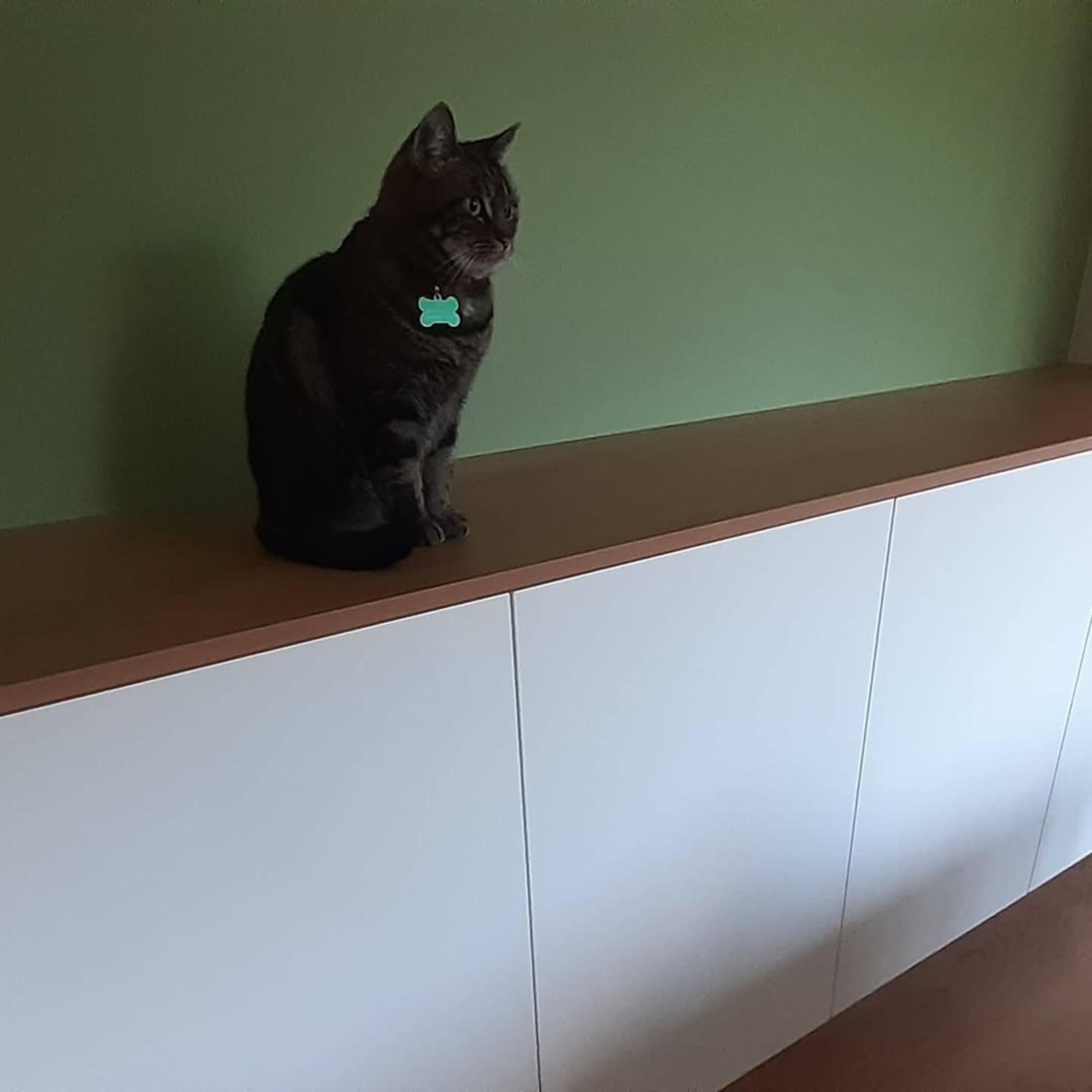 Meuble bas sur mesure! - photo 4