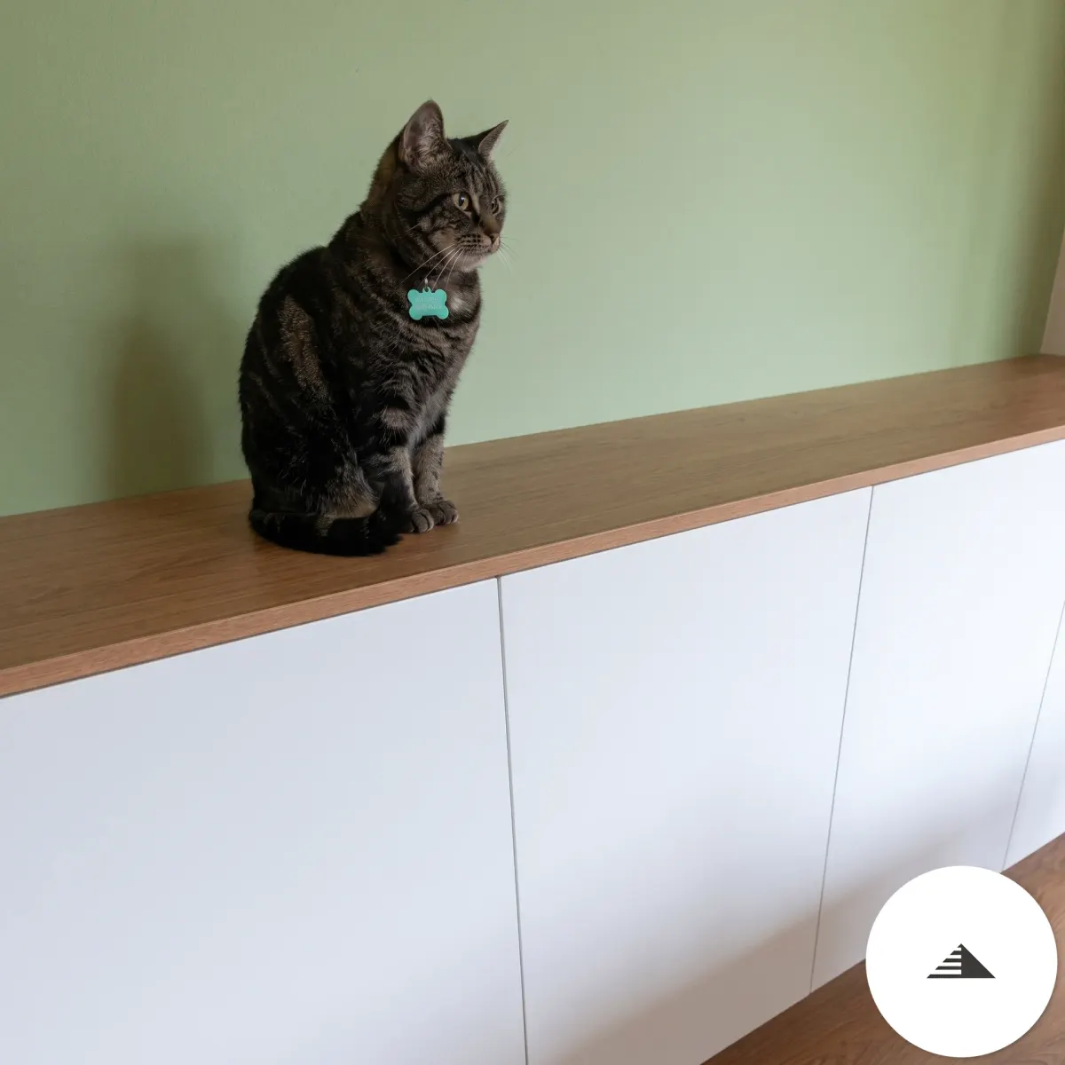 Meubles sur mesure — Vue frontale du meuble bas laqué blanc avec plateau cerisier et fond vert sauge, mascotte maison perchée sur le plateau à Bordeaux | Gonzalez Agencement